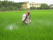 40 ans après l'Agent Orange/Dioxine au Vietnam,  les multinationales de l'agrobusiness sur la sellette...